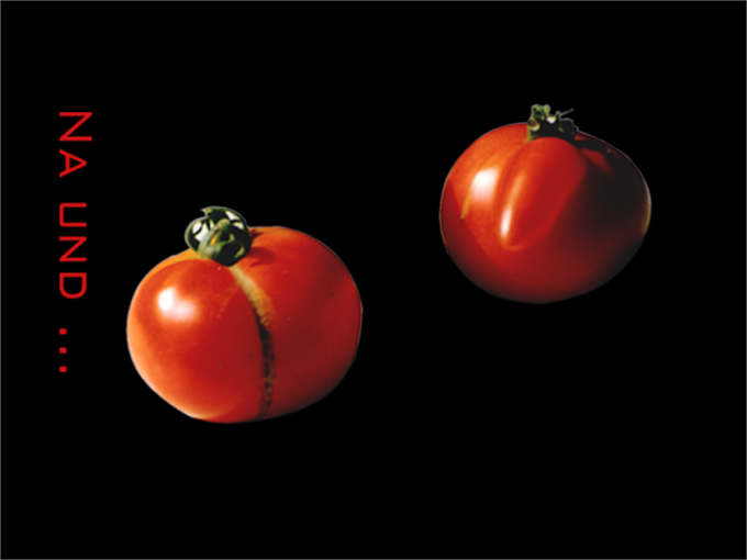 tomate.jpg (77230 Byte)